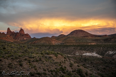 Mules Ears at Sunset Big Bend 2023